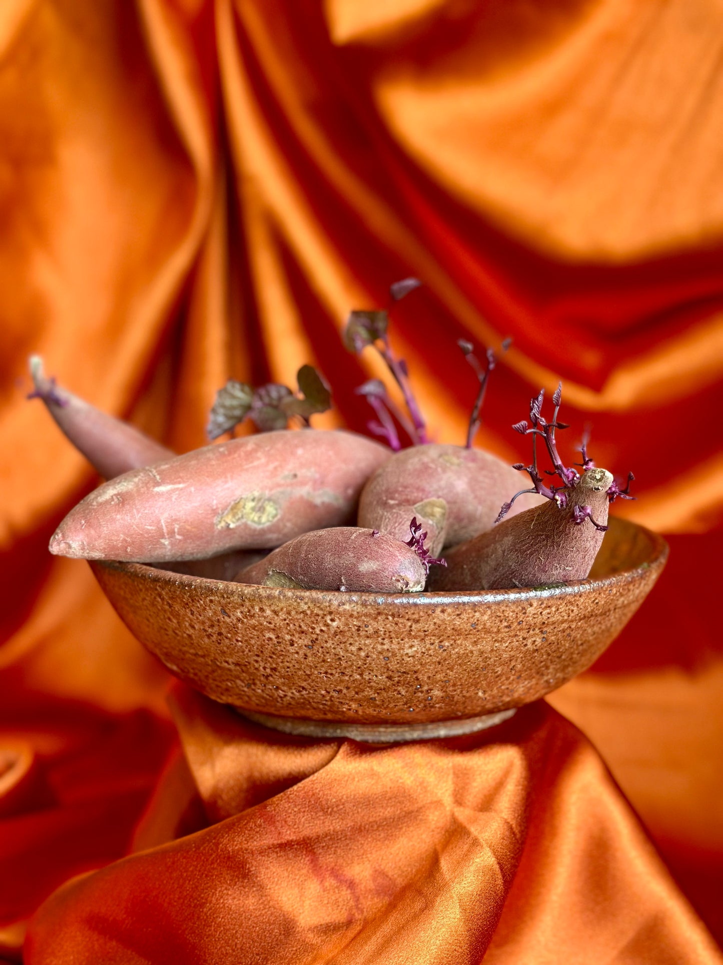Shino dream- Wide Shallow bowl